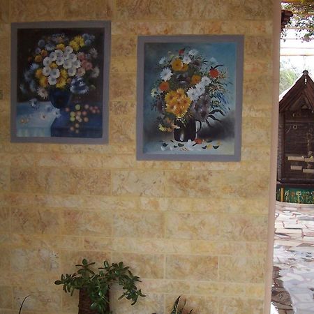 Amoudara Lasithiou Ideal Studios מראה חיצוני תמונה