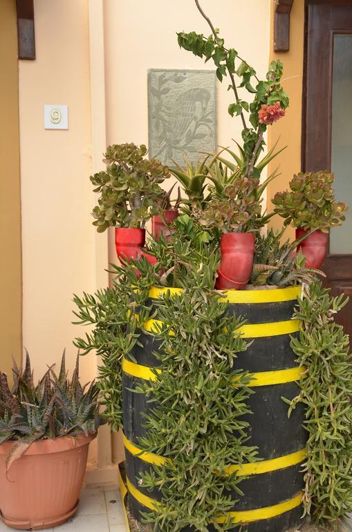 Amoudara Lasithiou Ideal Studios מראה חיצוני תמונה